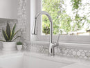 Pfister Neera Kitchen Faucet with Pull Down Sprayer, High Arc Kitchen Sink Faucet with Pull Out Spray Head, Transitional Home Décor, Single Handle Kitchen Faucets, 1-Hole